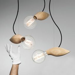 The designer lamp with organic shapes