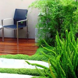The Houseplant bob creates green accents at home