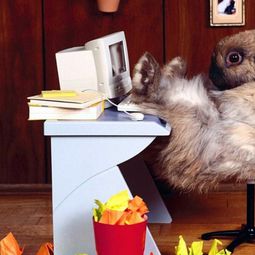 The Legend of the Easter Bunny – Where does the Easter Bunny?