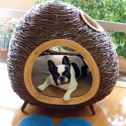 The pampered pooch: Cheeky attractive furniture for pets
