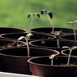 Time to plan the garden design: Get ready for spring