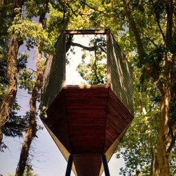 Two snake-like huts in the forest – a new term for tree house