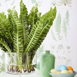 Useful tips for your home renovation in spring