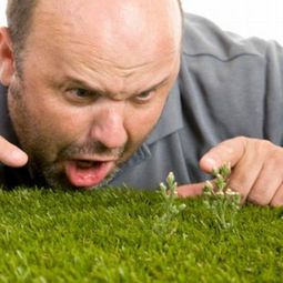Weed killer – effective weed control with vinegar, boiling water