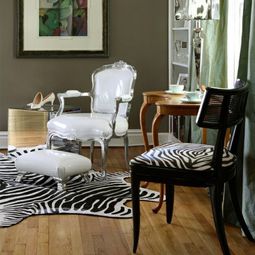 Zebra and leopard pattern in the interior