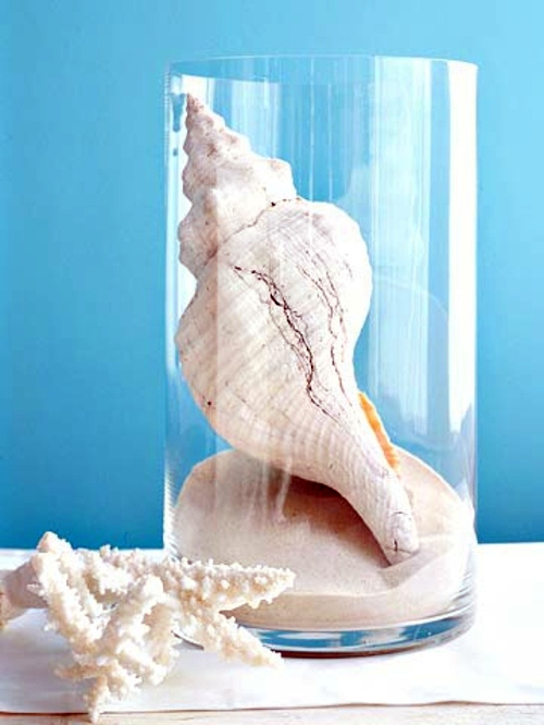 Beautify your home – seashells decoration