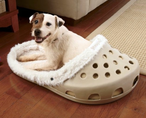 Cool dog bed in shape of a shoe