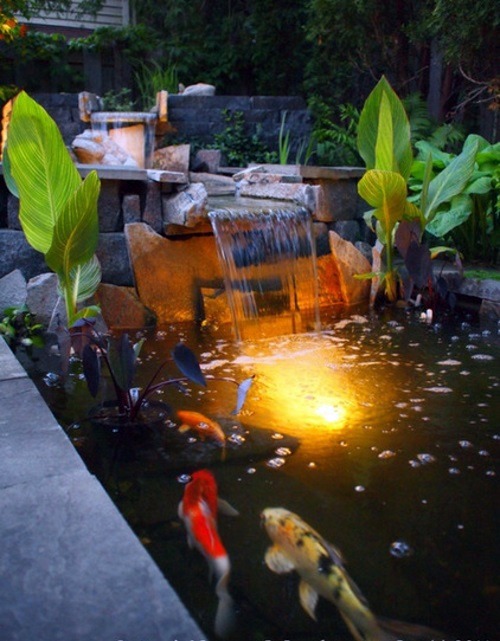Creating a koi pond in the garden – typical extra for the Asian and