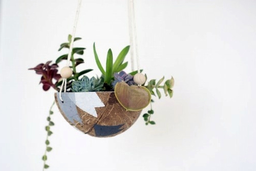 DIY hanging flower pot from coconut