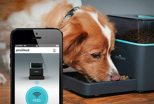 Feed the pet via smartphone