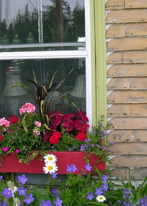 Flower boxes at the windows in different styles