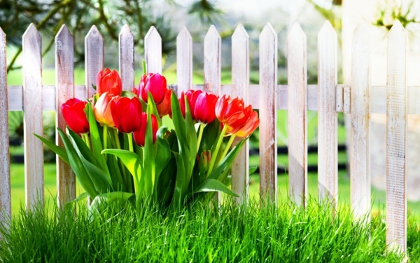 Garden fence design – 20 inspiring examples of self-made garden fences