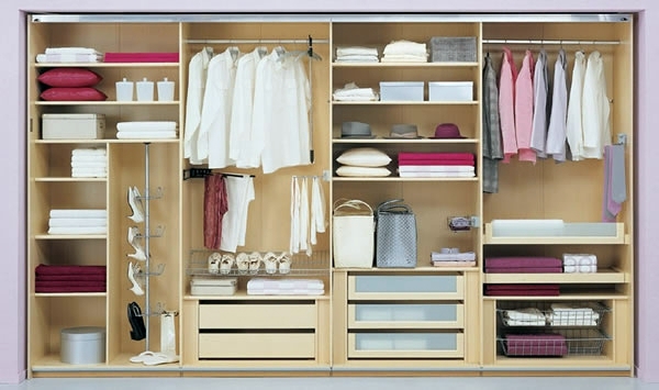 Intelligently organize the closet: 50 images, stock plans and ideas with closets