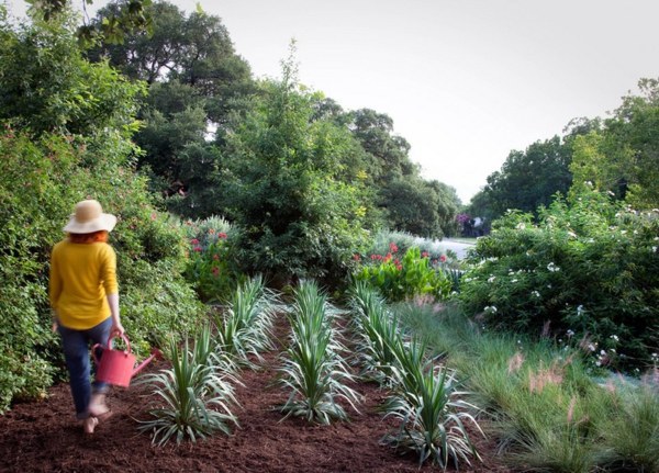 Landscaping and gardening in spring