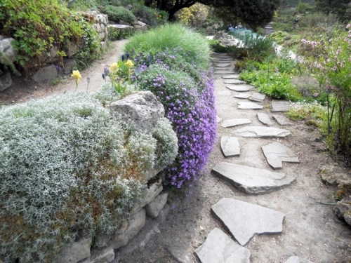 Landscaping with perennials, which come from the high mountains