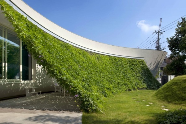 Organic House with curved vertical greening
