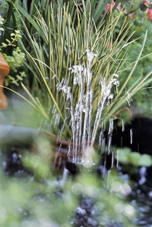 Patio Tour: Classic courtyard with pond and fountain