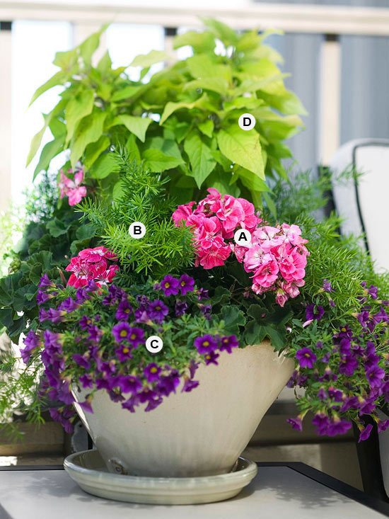 Perfect flower containers for your geraniums Landscaping