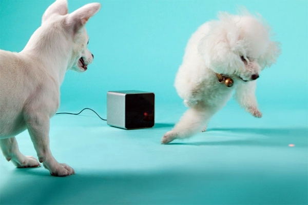 Play with your pet by your smartphone by PetCube