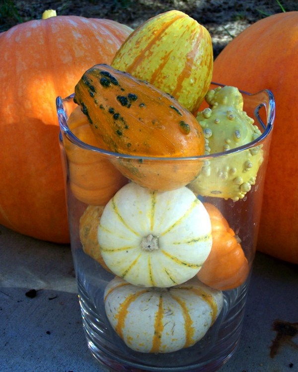 Pumpkin decorating ideas – cool autumn decoration for DIY