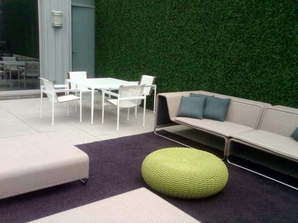 Blinds for terrace - living green wall protects your privacy