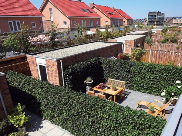 Blinds for terrace - living green wall protects your privacy