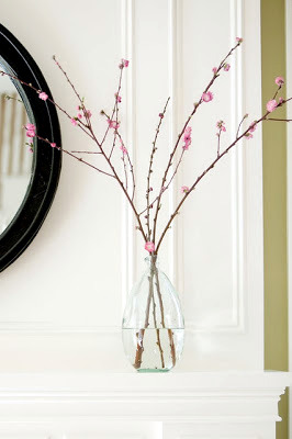 A breath of spring