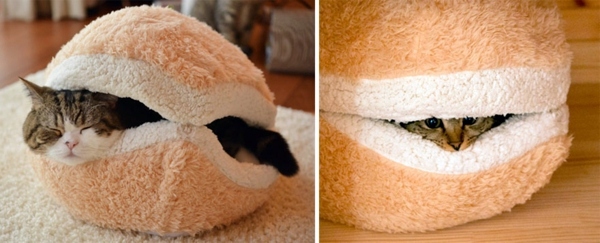 Haustiere - Cat Furniture Design - fun, creative cats Hide