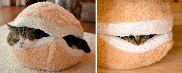 Haustiere - Cat Furniture Design - fun, creative cats Hide Haustiere - Cat Furniture Design - fun, creative cats Hide