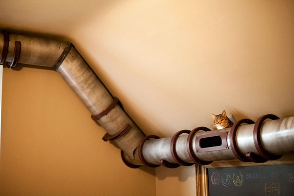 Cat Furniture Design - fun, creative cats Hide
