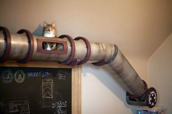 Cat Furniture Design - fun, creative cats Hide
