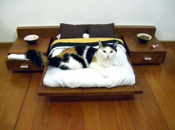 Kunst - Cat Furniture Design - fun, creative cats Hide