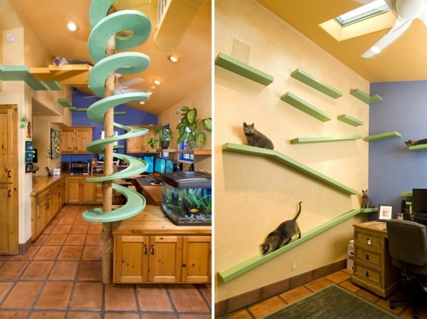 Cat Furniture Design - fun, creative cats Hide