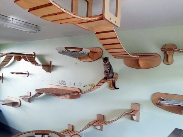 Cat Furniture Design - fun, creative cats Hide