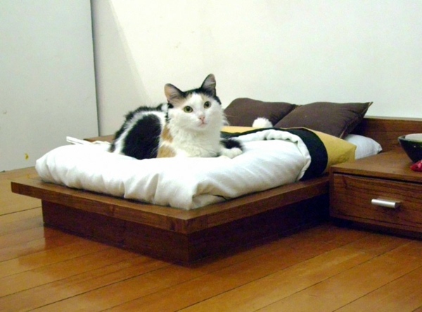 Cat Furniture Design - fun, creative cats Hide