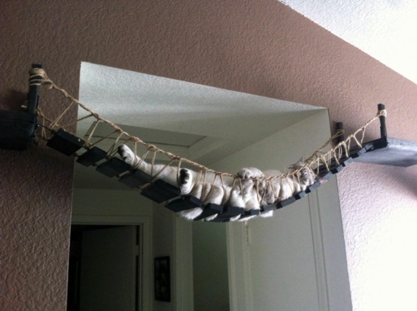 Cat Furniture Design - fun, creative cats Hide