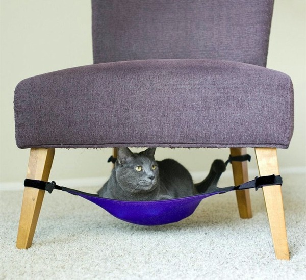 Cat Furniture Design - fun, creative cats Hide