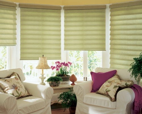 Small luxury pieces: Motorized window coverings for all offer many advantages Small luxury pieces: Motorized window coverings for all offer many advantages