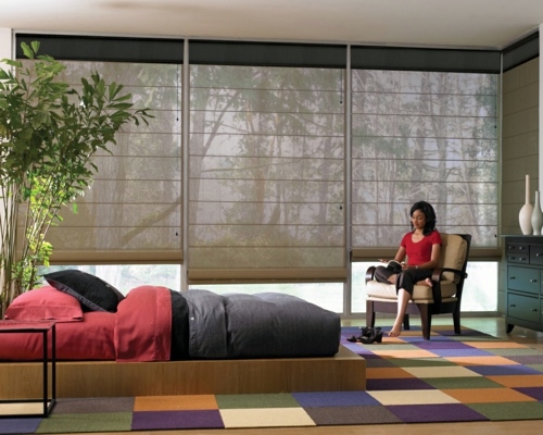 Small luxury pieces: Motorized window coverings for all offer many advantages Small luxury pieces: Motorized window coverings for all offer many advantages