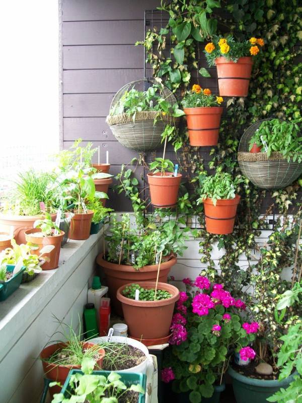 Cool Balcony Greenery Ideas - Beautify your balcony or terrace! Cool Balcony Greenery Ideas - Beautify your balcony or terrace!