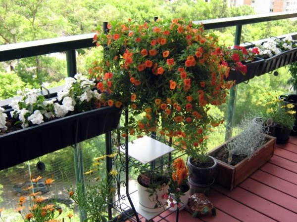 Cool Balcony Greenery Ideas - Beautify your balcony or terrace!