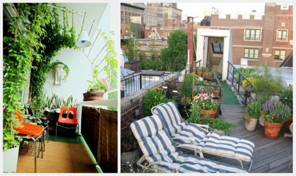 Cool Balcony Greenery Ideas - Beautify your balcony or terrace!