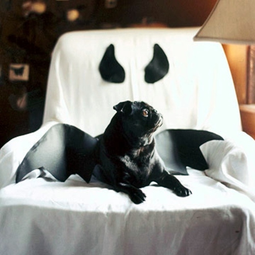Ghostly Halloween decorating ideas to do it yourself