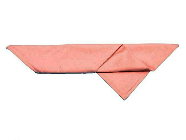 Napkin Folding - manual in pictures Napkin Folding - manual in pictures