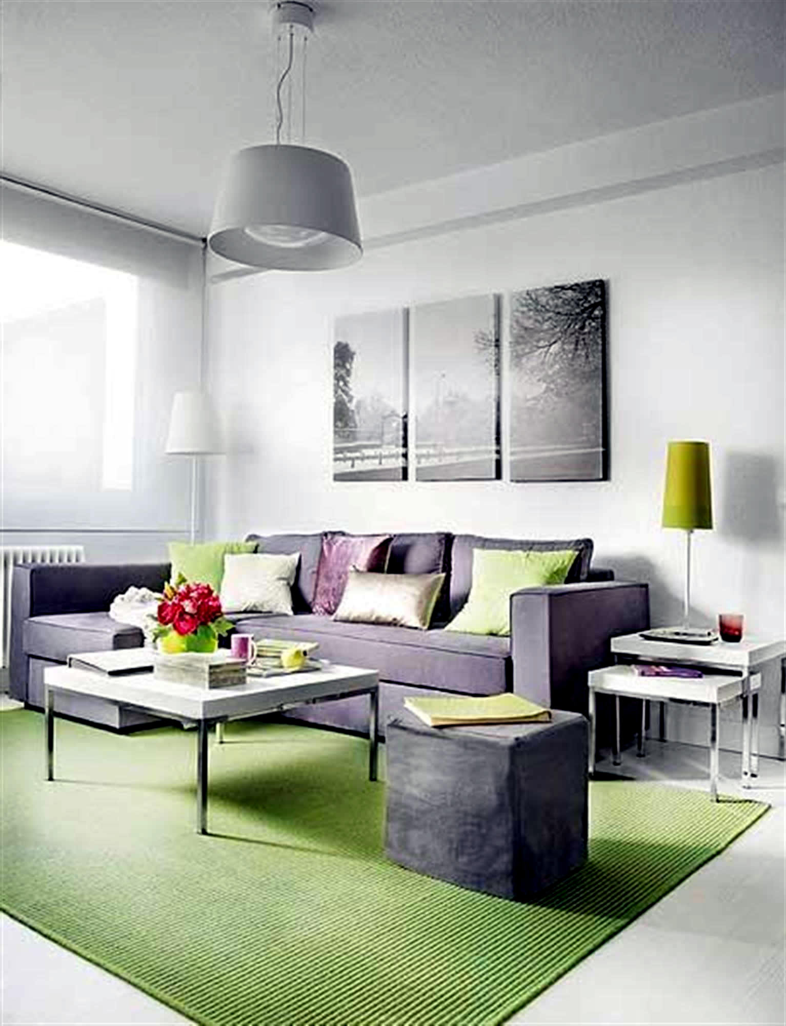 Carpet Design Ideas for Chic Living Room Decor