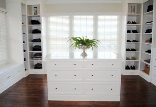 Give your home a tropical look with nest fern