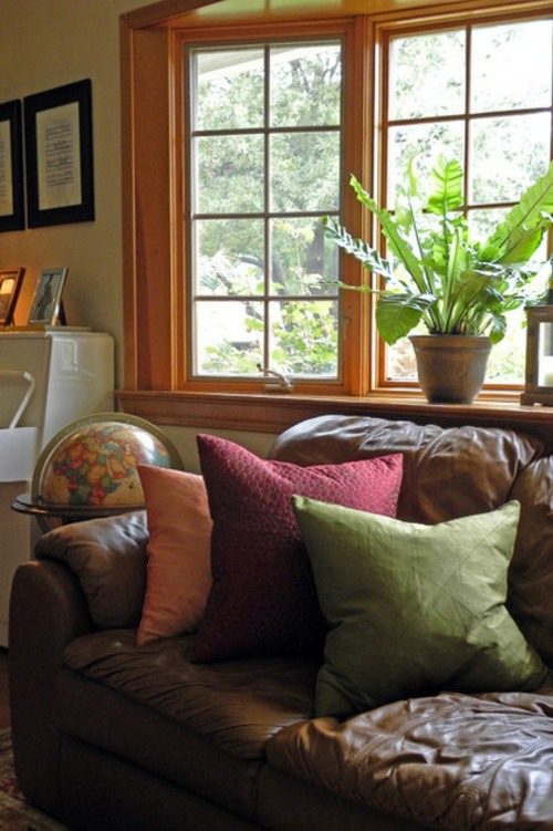 Give your home a tropical look with nest fern