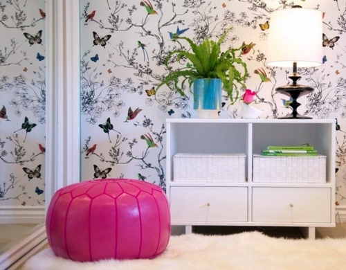 Give your home a tropical look with nest fern