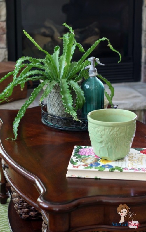 Give your home a tropical look with nest fern Give your home a tropical look with nest fern