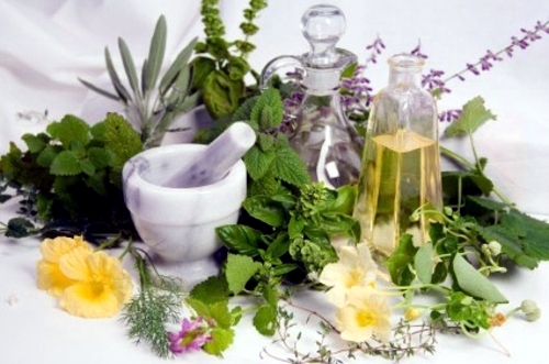 Herb garden ideas for wonderful Feng Shui Kitchen